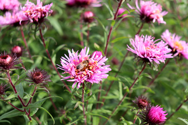 Similar image 22281338