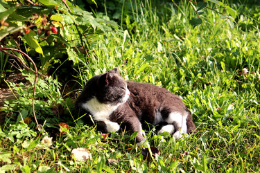 Similar image 22281339