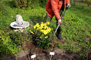 Similar image 22281340