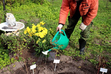 Similar image 22281341