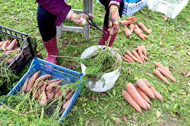 Similar image 22281343