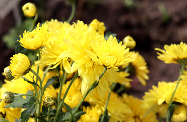 Similar image 22281344