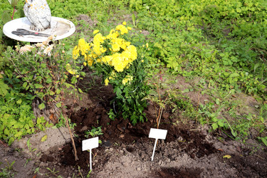 Similar image 22281943