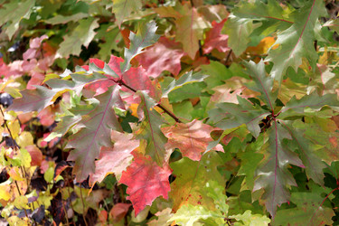 Similar image 22281948