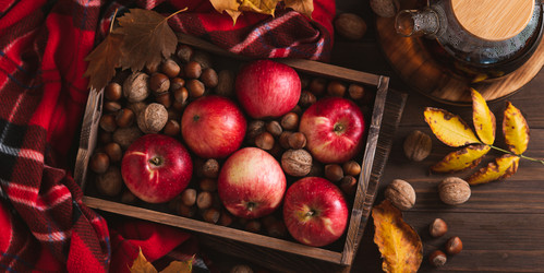 Similar image 22276969