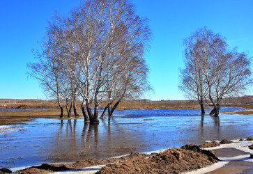 Similar image 22279977