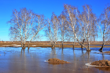 Similar image 22279978