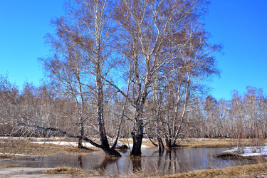 Similar image 22279980