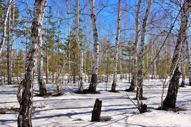 Similar image 22279982