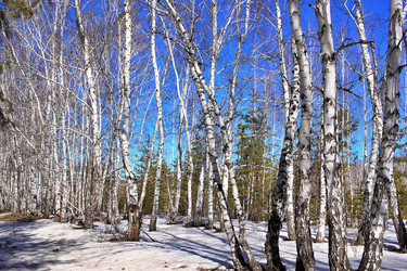 Similar image 22279983