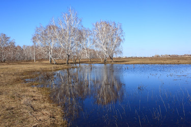 Similar image 22279985