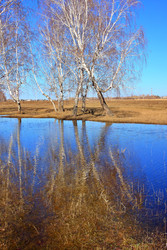 Similar image 22279986