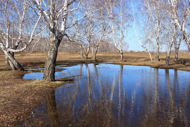 Similar image 22279987