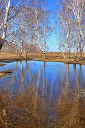 Similar image 22279988