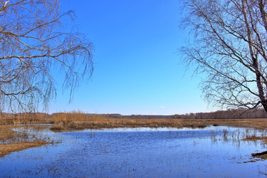 Similar image 22279989