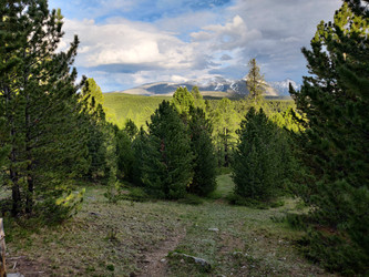 Similar image 22279845