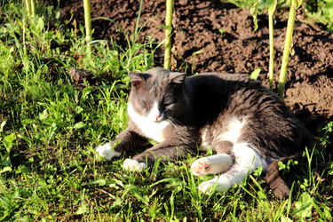 Similar image 22281949