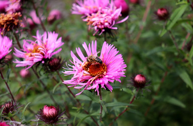 Similar image 22283313