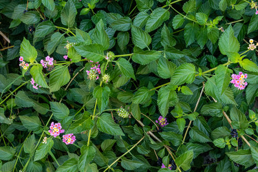 Similar image 22276974