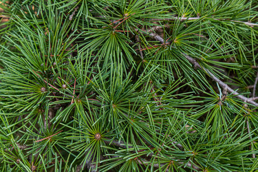 Similar image 22276976