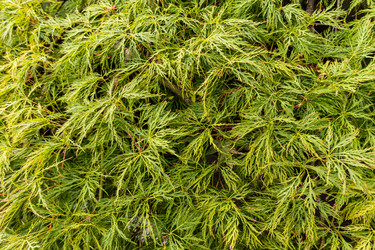 Similar image 22276977