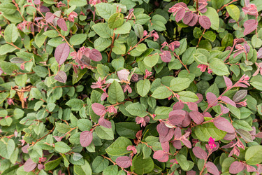 Similar image 22276978