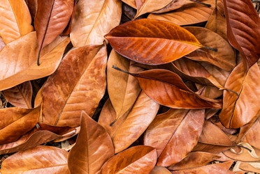 Similar image 22276979