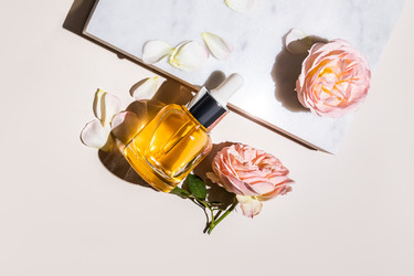 Similar image 22276981