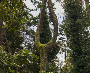 Similar image 22281787