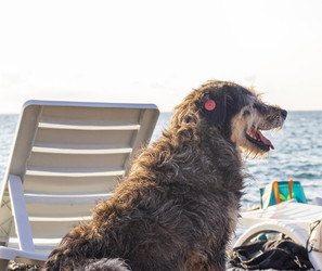 Similar image 22281801