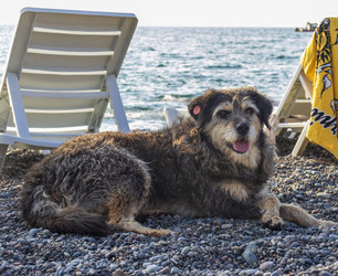 Similar image 22281803