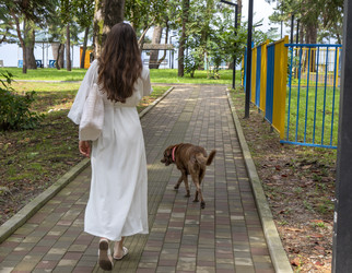 Similar image 22281821