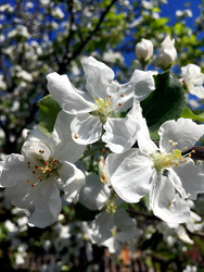 Similar image 22281350