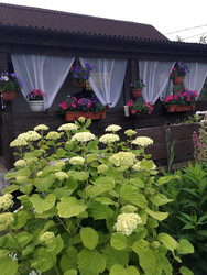 Similar image 22281351