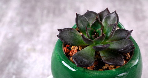 Similar image 22279759