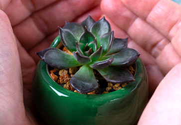 Similar image 22279760