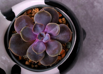 Similar image 22279761