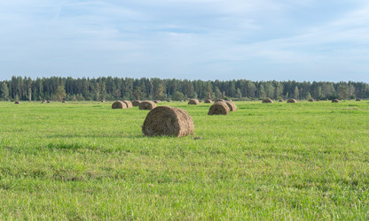 Similar image 22280013