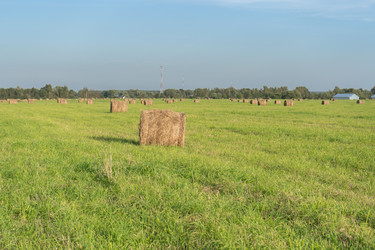 Similar image 22280014