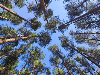 Similar image 22280020