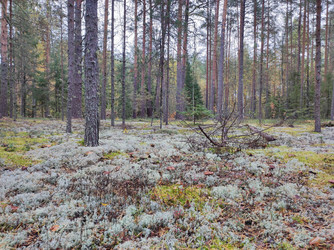 Similar image 22280022