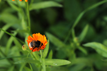 Similar image 22279815