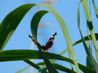 Similar image 22281377