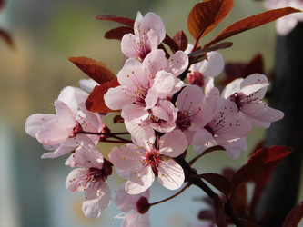 Similar image 22281378