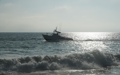 Similar image 22279720