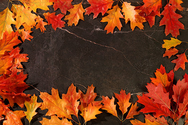 Similar image 22279856