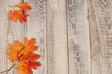 Similar image 22279857