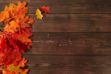 Similar image 22279860