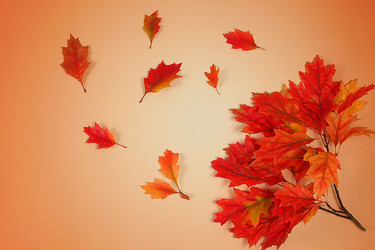 Similar image 22279862