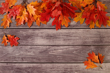 Similar image 22279863